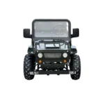 Massimo Minis 125 Go Karts 125cc 9hp - Image 3