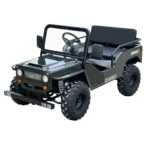 Massimo Minis 125 Go Karts 125cc 9hp - Image 2