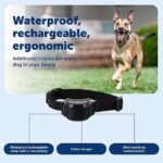 PetSafe Stay &amp; Play Wireless Fence Receive Collar – Rechargeable and Waterproof Receiver Collar with Quick Charge in 2-3 Hours – for Dogs 5lb+ - Image 2