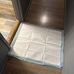 PETSWORLD Extra Large Potty Pads for Dogs, Odor Eliminating 30″ x 36″, 150 Count Pee Pads for Dogs, Gigantic XL Dog Pads, 5 Layer Ultra Absorbent Technology, Leak Proof Training Pads for Dogs &amp; Cats - Image 2
