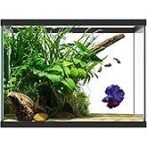 Tetra Glass Aquarium 29 Gallons, Rectangular Fish Tank, Assorted Color - Image 3
