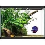 Tetra Glass Aquarium 29 Gallons, Rectangular Fish Tank, Assorted Color - Image 3