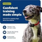 PetSafe Wireless Pet Containment System – Original Wireless Electric Fence for Dogs – Covers Up to 1/2 Acre – for Pets 8lb+ - Image 3