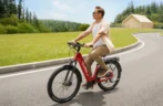 Velotric Discover 2 Ebikes. - Image 5