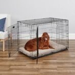 MidWest Homes for Pets 42-Inch iCrate for Large Breeds, 71-90 lbs, Double Door Folding Dog Crate with Divider Panel, Leak-Proof Tray &amp; Secure Latches, Portable, Durable &amp; Easy to Assemble - Image 3