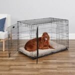 MidWest Homes for Pets 42-Inch iCrate for Large Breeds, 71-90 lbs, Double Door Folding Dog Crate with Divider Panel, Leak-Proof Tray &amp; Secure Latches, Portable, Durable &amp; Easy to Assemble - Image 3