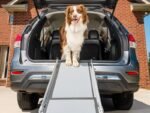 PetSafe Happy Ride Compact Telescoping Dog Ramp – Portable Pet Ramp for Cars, Trucks &amp; SUVs with Adjustable Sizing – Non-Slip Design – Lightweight Pet Mobility Assistance – Extra Long - Image 3