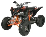 Vitaccii Pentora Racing ATV - Image 2