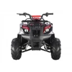 Tao Motors D125 Kids ATVs - Image 3