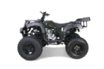 Taotao 250 Rhiino Adult Utility ATV - Image 3