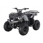 Tao Motors D125 Kids ATVs - Image 2