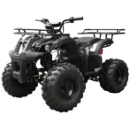 Tao T Forcee T125 Mid Size ATV - Image 4