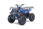 TaoTao T-Force T125 4-Wheeler All-Terraiin Vehicle ATV