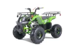 TaoTao T-Force T125 4-Wheeler All-Terraiin Vehicle ATV - Image 3