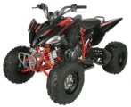 Vitaccii Pentora Racing ATV