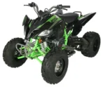 Vitaccii Pentora Racing ATV - Image 2